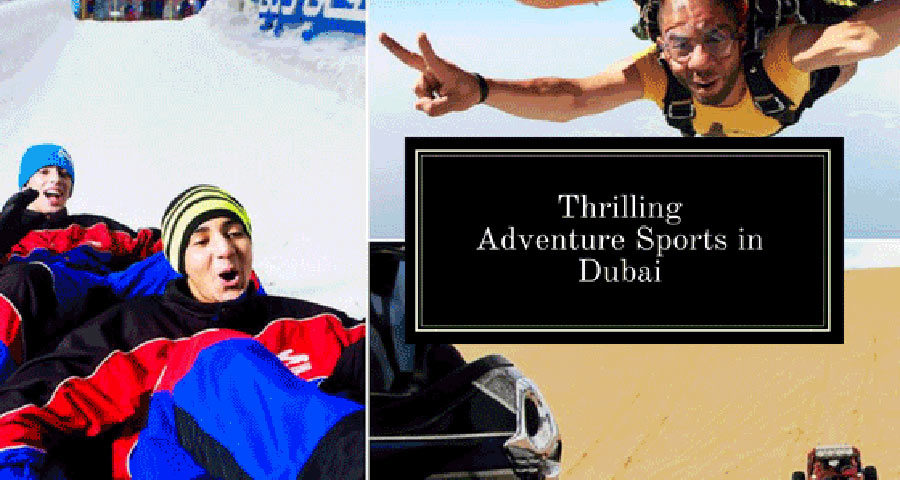 Backyard Safari: A Thrilling Adventure for Nature Lovers