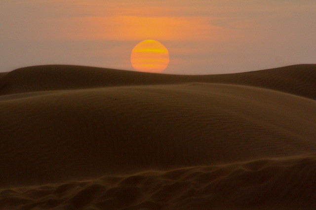 Evening Sunset View In Red Dune Safari
