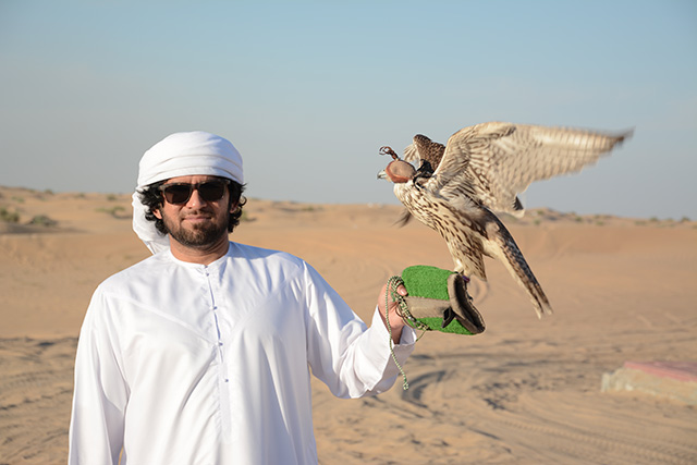 Falcon-Holding-on-Wrist-In-premium-Desert-safari