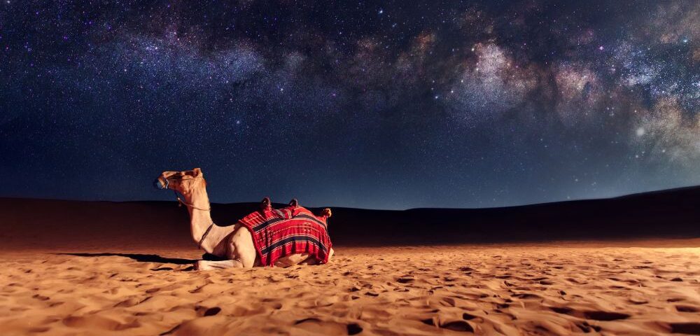 arabian desert safari stargazing sessions.