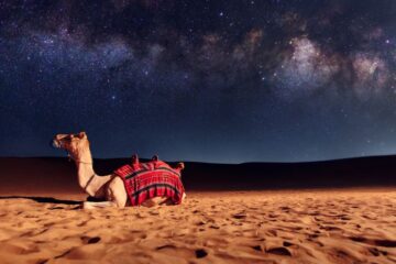 arabian desert safari stargazing sessions.