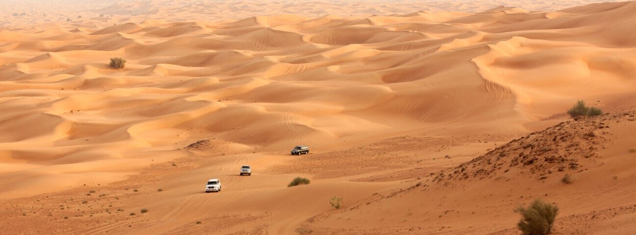 dubai vs abu dhabi desert safari