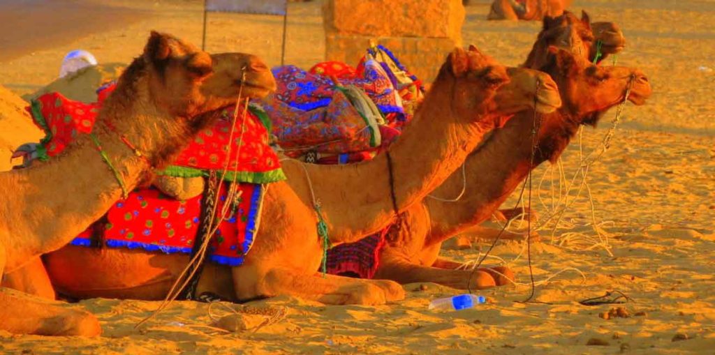 Jaisalmer-desert