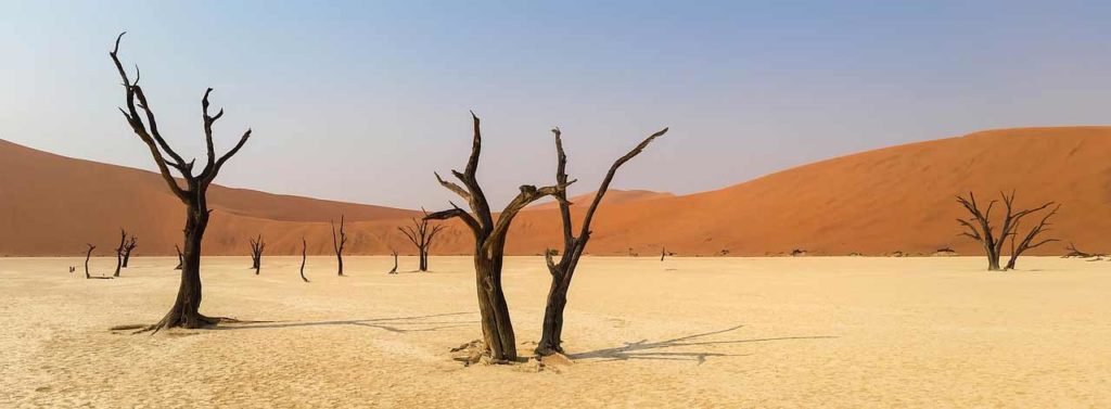 Namib-Desert