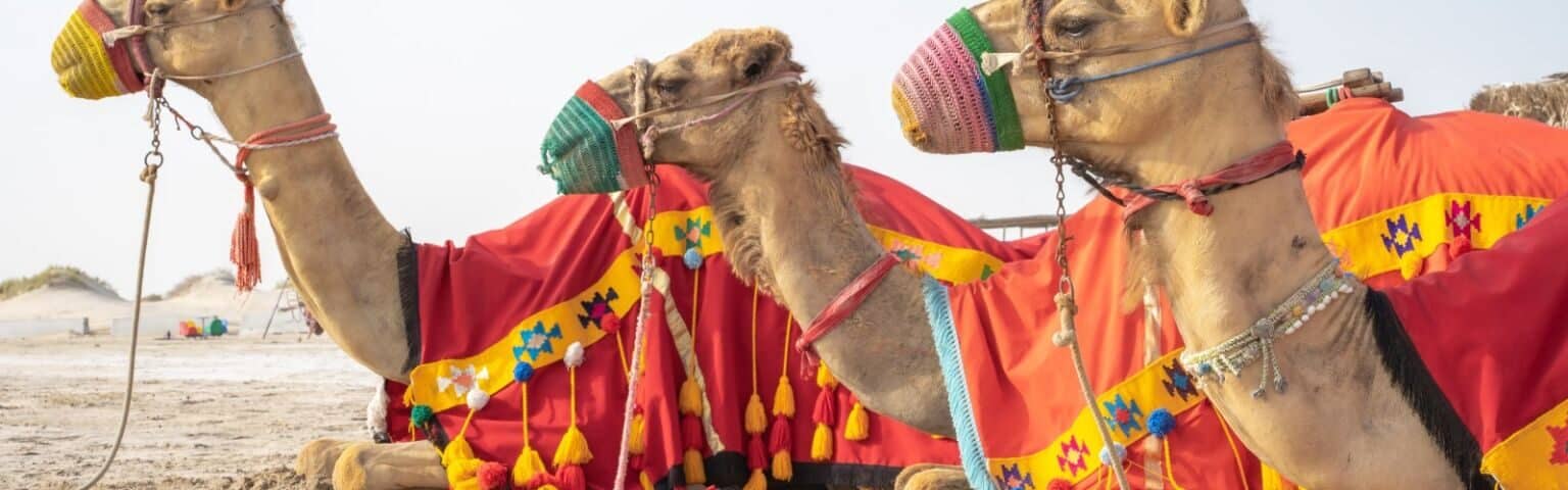 Arabian desert safari