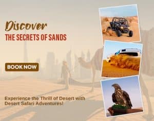 desert safari blog