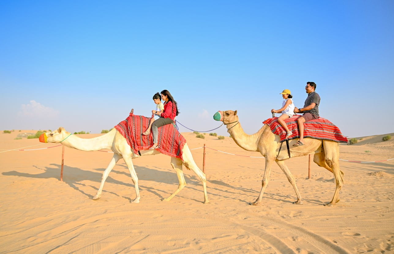 UAE National Day Celebration