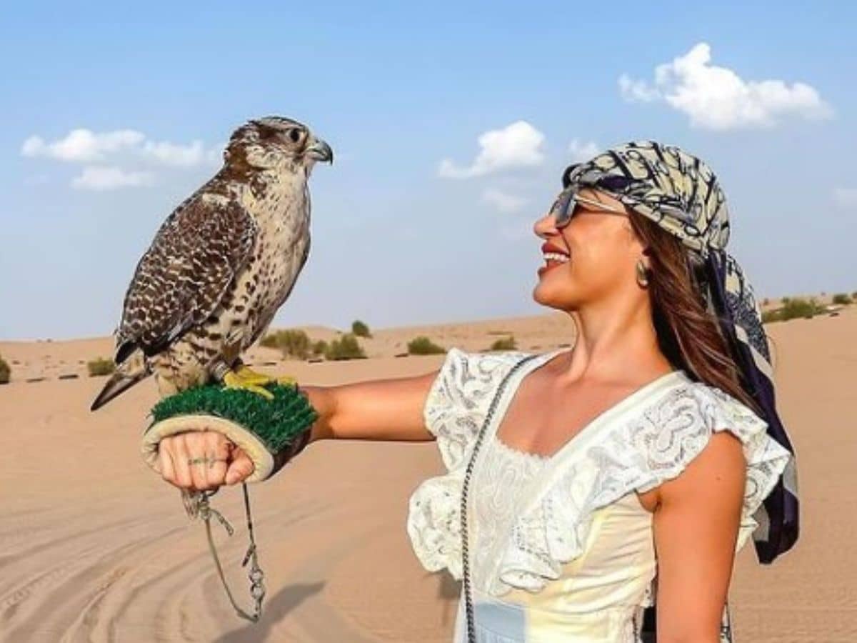 Dubai Falcon Shows Falcon Types Top Spots To See And Tips dubai-falcon-shows-falcon-types-top-spots-to-see-and-tips