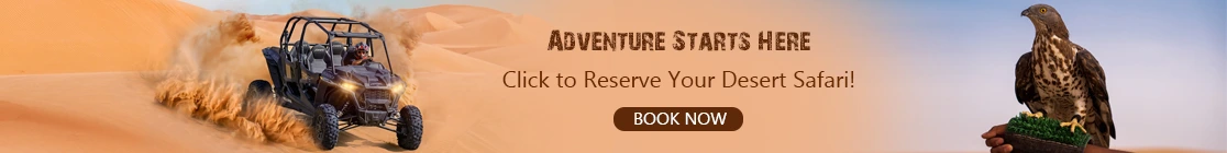 book-Desert-safari-dubai