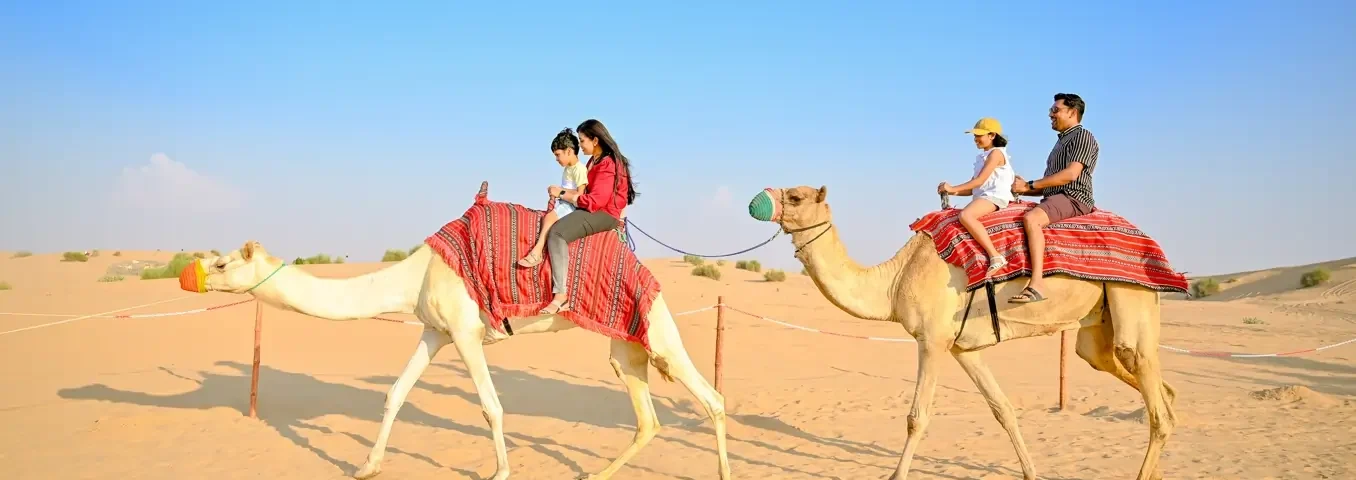 camel ride with kids in Abu Dhabi