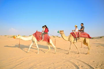 camel ride with kids in Abu Dhabi