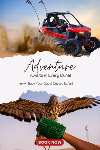 Adventure Awaits in Every Dune