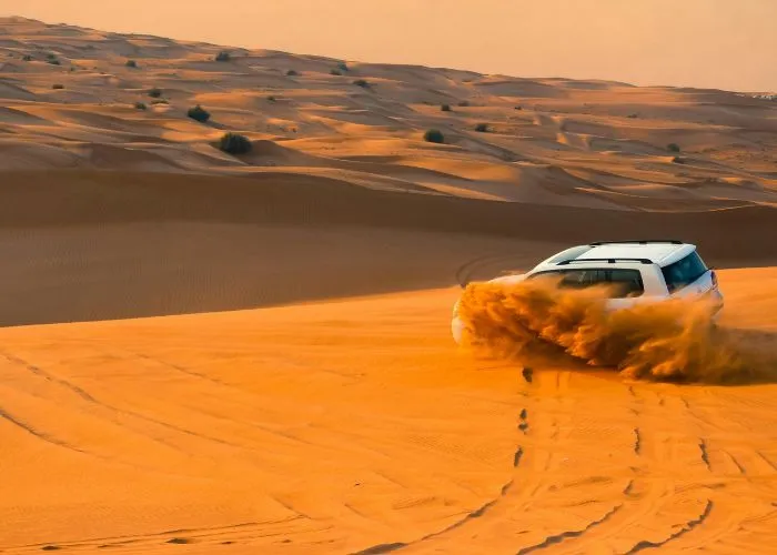 Desert Safari 4*4 Vehicle Dune Bashing
