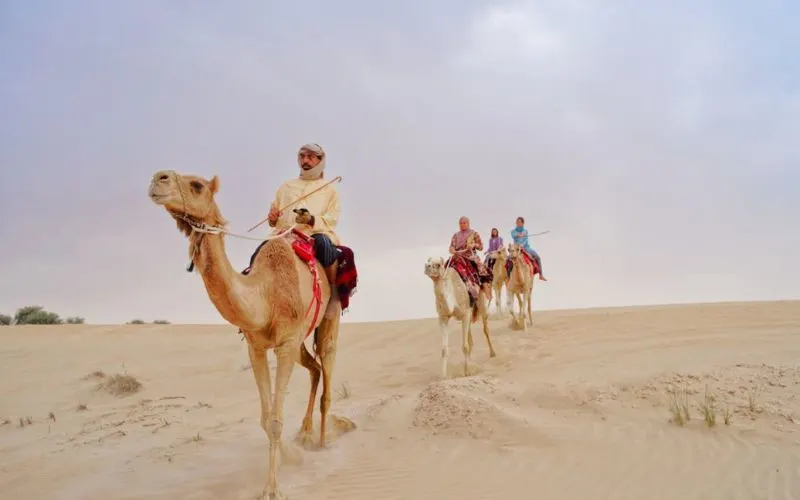Camel Riding in Dinner Desert Safari