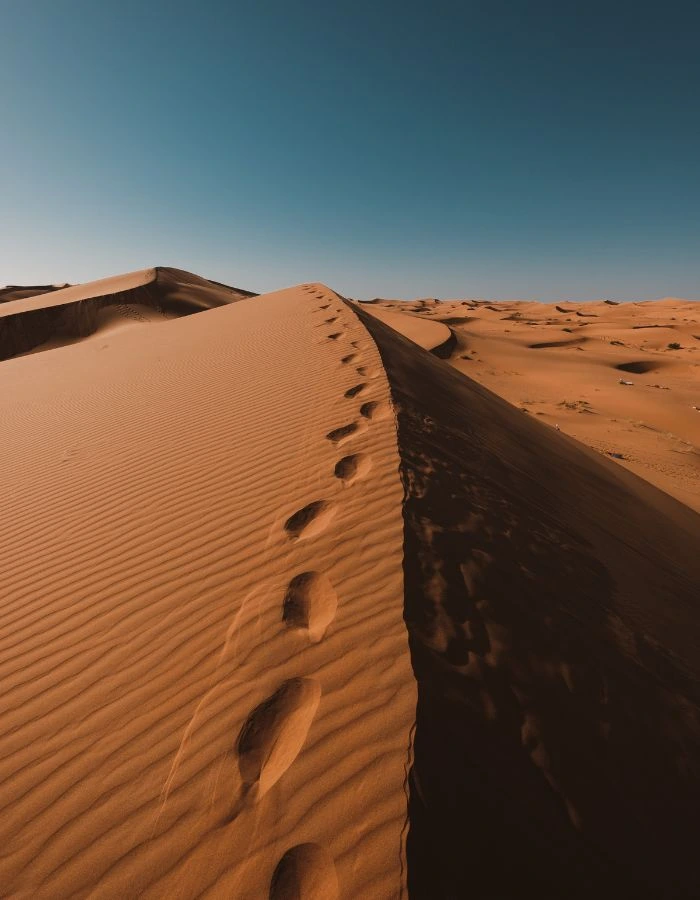 Dubai Desert