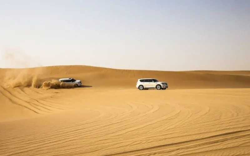 Private Desert Safari Dune Bashing